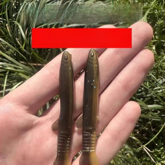 Naujas bioninis mažų ešerių masalas su druskos ir žuvies skoniu, skirtas mandarinų žuvims ir ešeriams žvejoti. Minkšti kirminai. Netikras masalas žvejybai. Žvejybos reikmenys.