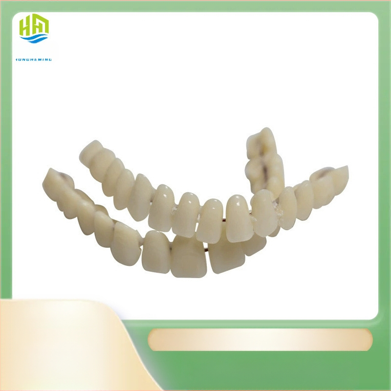 Material didactic oral, simulare proteză, model de proteză din plastic cu două rânduri, comerț exterior, vânzare la preț redus transfrontalier