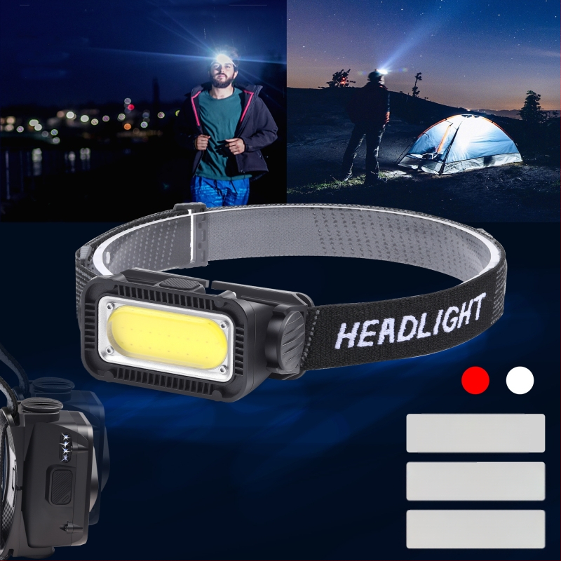 Mitmefunktsiooniline esitule induktsioon-esitule