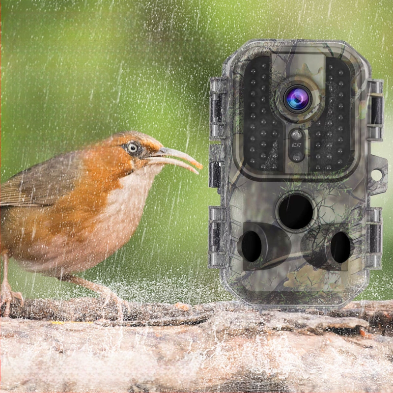 piiriülene infrapunane metsloomade kaamera välistingimustes kasutatav HD-jahikaamera öise nägemise jälgimise induktsioonjahikaamera viljapuuaias