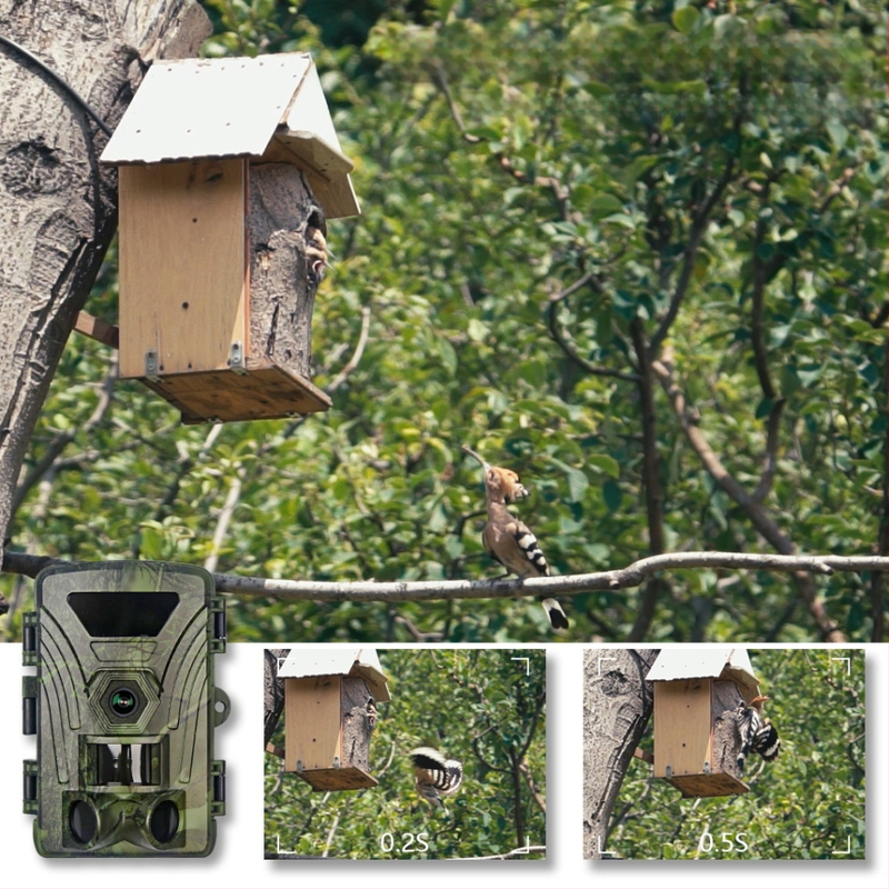 8K infravörös akciókamera Wifi Pr802W kültéri megfigyeléssel, állatmegfigyeléssel, nappali és éjszakai megfigyeléssel, fotó és videó megfigyeléssel