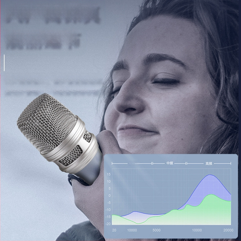 Professionaalne juhtmega pihumikrofon Ktv kodulavale arvuti mängimiseks ja laulmiseks helikaardile, dünaamiline live-mikrofon