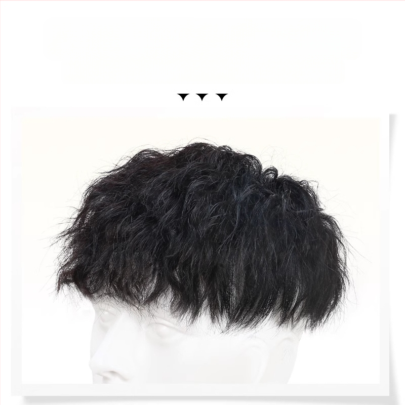 Meeste parukas päris juustest pea kohal uusväljaanne, kena Hongkongi stiilis Leslie Roll Atmosphere meeste uusväljaanne, laos olemas