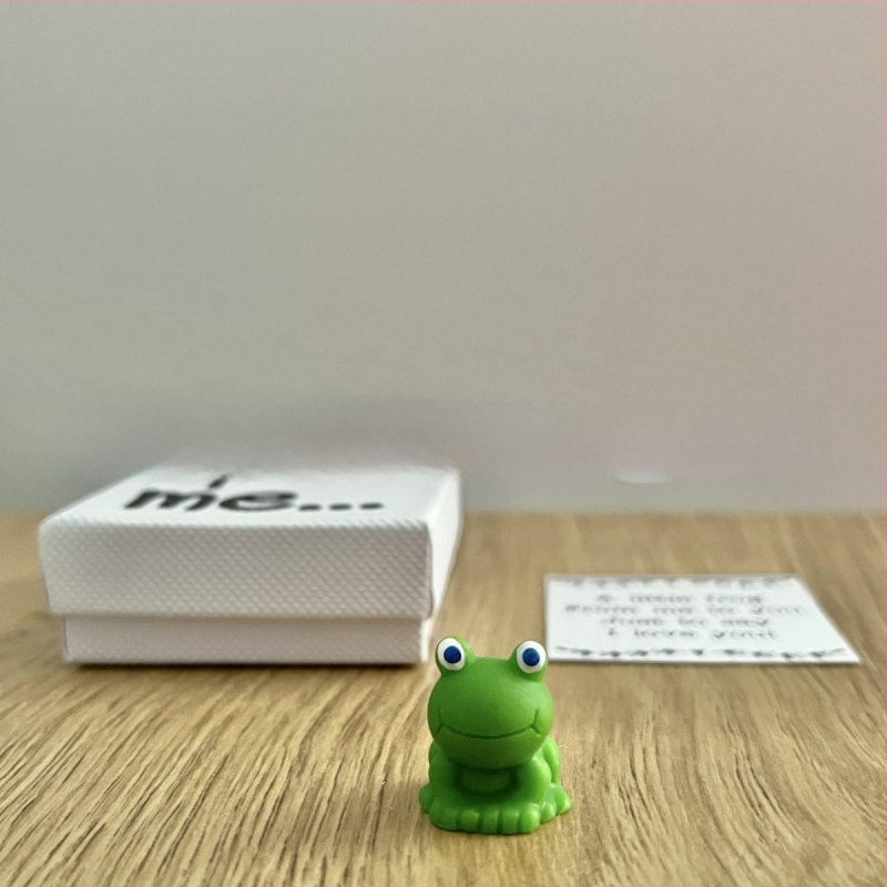 Ma armastan sind kingitus, konnakingitus mini-konnakingitus Ma armastan sind kingitus Taeva ja Maa kaanekujundus armastaja kingitus