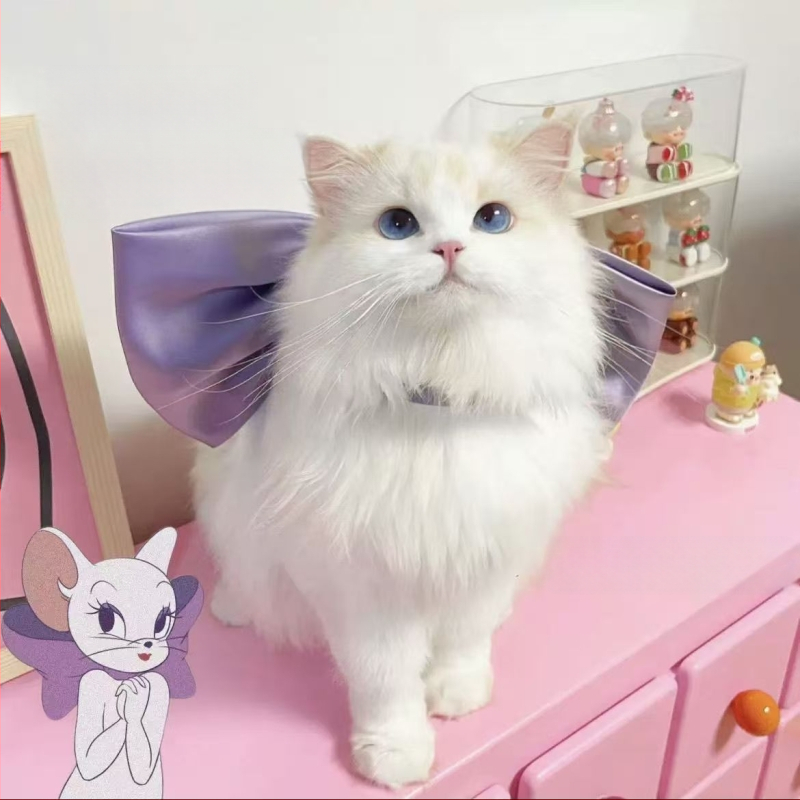 Aranyos Édes Tom Macska Lila Masni Nyaklánc Barátnő mert Tom Álommacska Nyaklánc