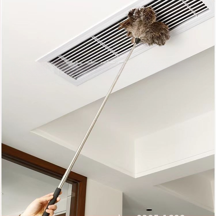 Ištraukiama ilga stručio plunksnų šluostė, buitinė, nerūdijančio plieno, ilga rankena, lubų šluota, gamyklos išparduotuvė