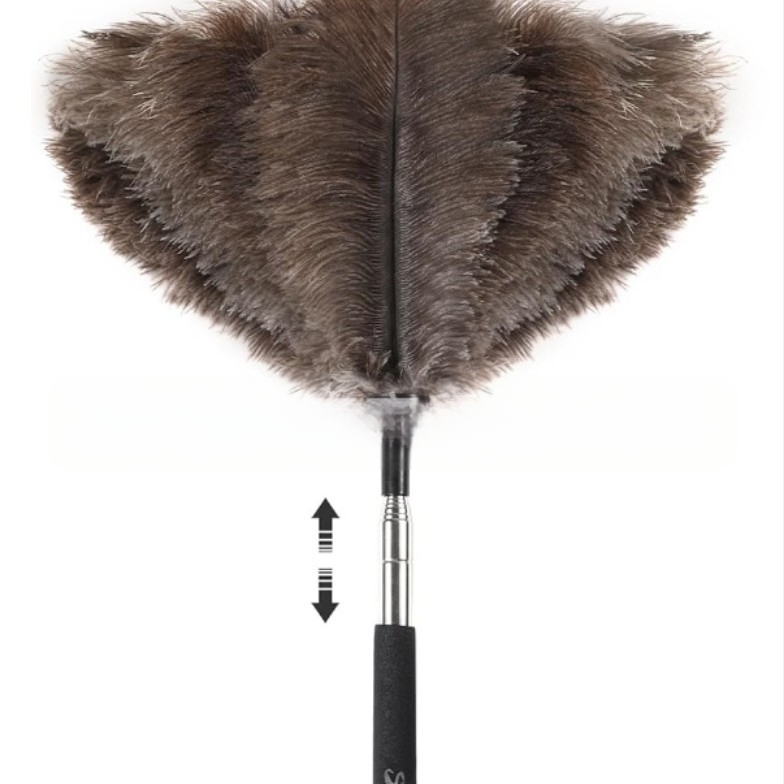 Ištraukiama ilga stručio plunksnų šluostė, buitinė, nerūdijančio plieno, ilga rankena, lubų šluota, gamyklos išparduotuvė