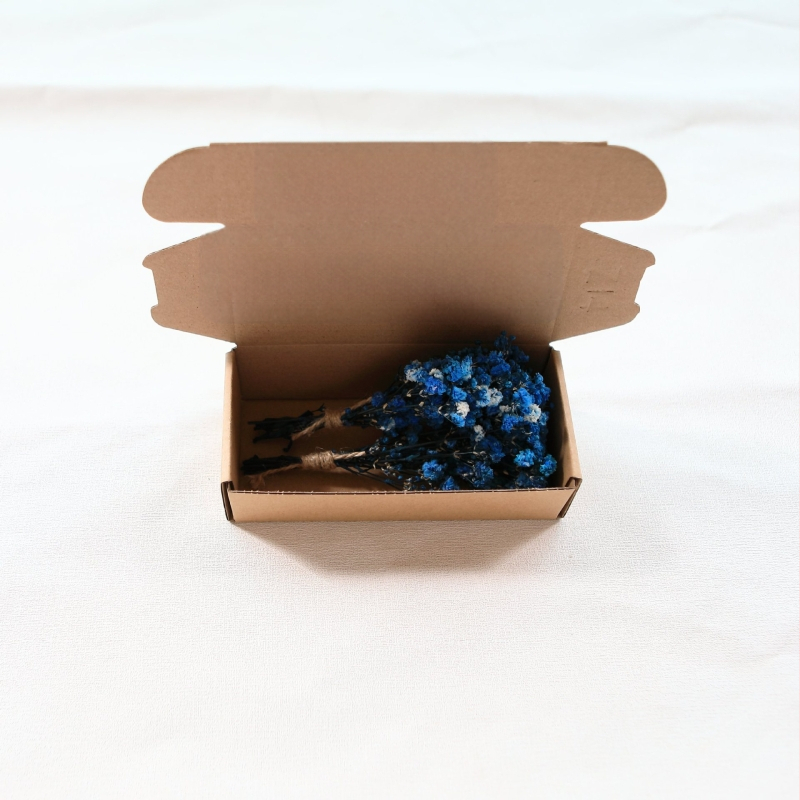 Maža „Gimsophila“ puokštė amžinoje gėlėje, kūrybinga mini džiovintų gėlių dovanų dėžutė vestuvėms, kurioje laikomos gėlės, namų dekoravimas