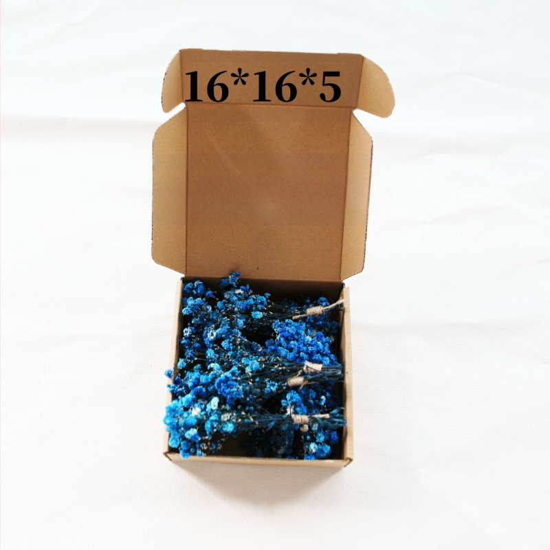 Maža „Gimsophila“ puokštė amžinoje gėlėje, kūrybinga mini džiovintų gėlių dovanų dėžutė vestuvėms, kurioje laikomos gėlės, namų dekoravimas