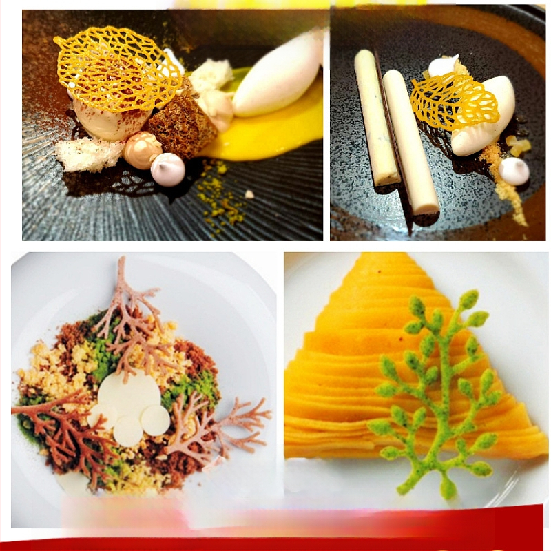 Nėrinių iškirptų lapų traškių formų kūrybinė patiekalų dekoracija molekulinė virtuvė prancūziškų lapų šokolado silikoninė kepimo forma