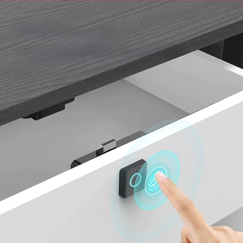 „Tuya Bluetooth“ pirštų atspaudų stalčiaus užraktas batų spintelės bylų spintelės pašto dėžutės užraktas elektroninis spintelės užraktas pirštų atspaudų užraktas išmanusis elektroninis užraktas