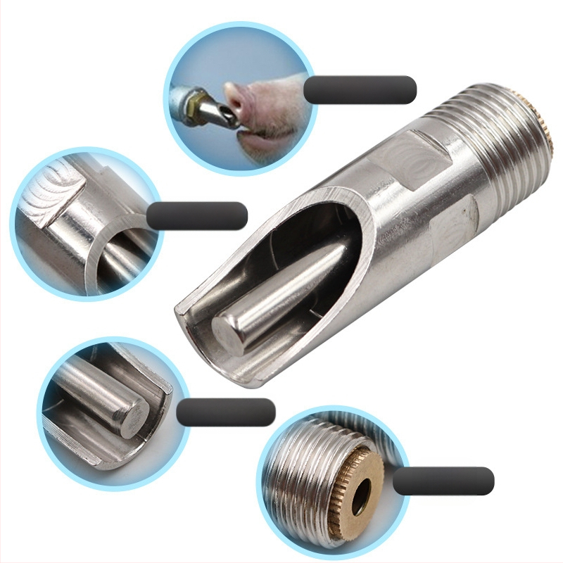 Sea joogifontääni pardinokka otsik roostevabast terasest sea joogivee automaatne veesöötja kraan sea otsik