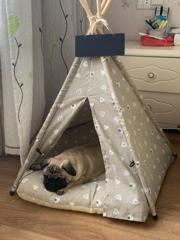 Colla lemmikloomatelk, hallid silmad, keskmise ja väikese suurusega koerakennel, kassipesa, linasest kangast, puidust lemmikloomapesa