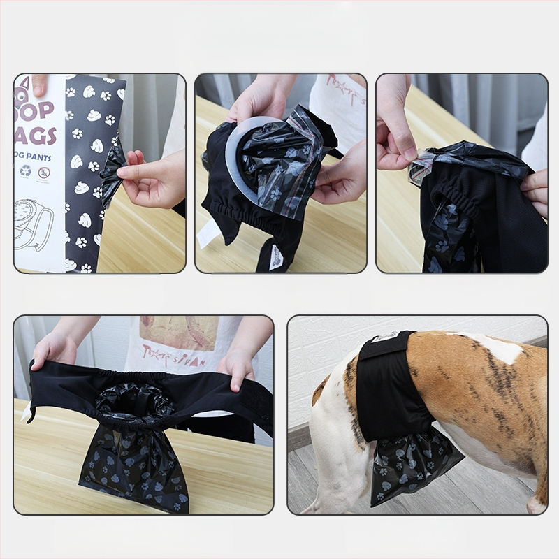 Hingav ja veekindel isaskoera uriinikogumiskott, automaatne uriinikogumisaluspesu isastele koertele, reguleeritava elastse ribaga lemmikloomade aluspesu