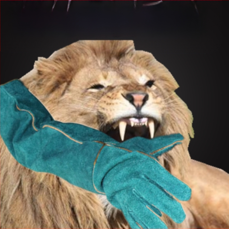 Lemmikloomade hammustusvastane treening kassidele ja koertele Lemmikloomade suplemine Kriimustusvastane hammustusvastane puhastus Massaažikindad Massaažihari Paksendatud loomanahast