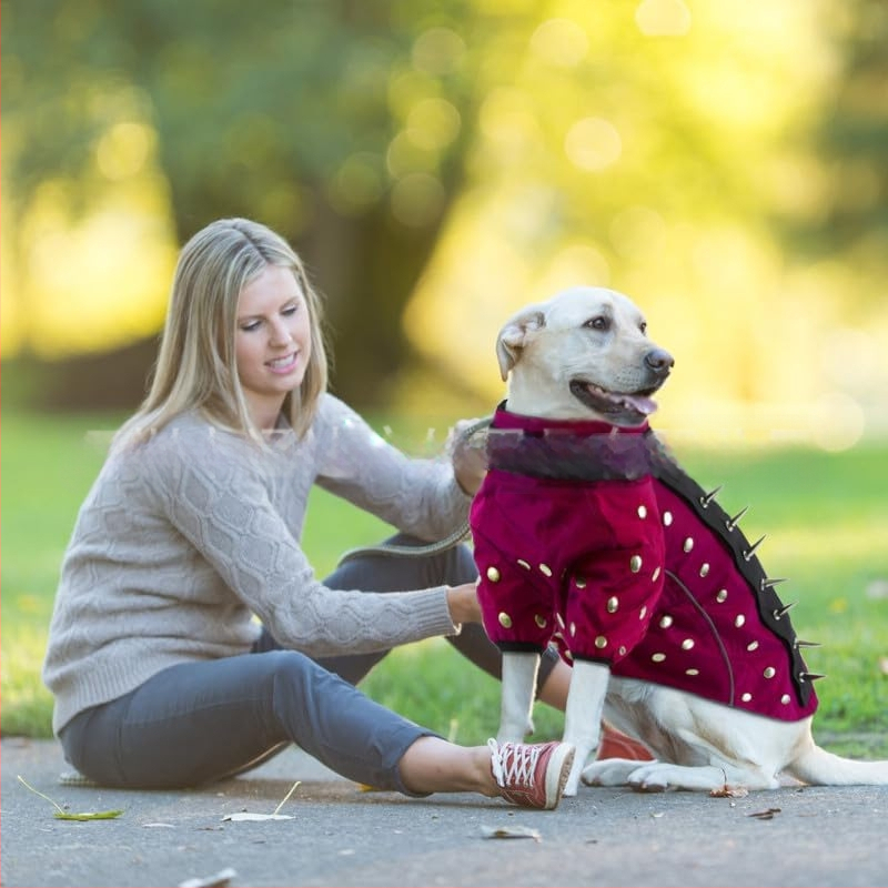 Uus lemmikloomade riiete ja helkurvestiga neetidega koerale mõeldud vest, millel on hammustusvastane kaitse ja soojad riided.