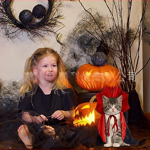 Halloween köpeny macskáknak és kutyáknak, személyre szabott ruházat kis és közepes méretű kutyáknak, divatos halloweeni limitált kiadás