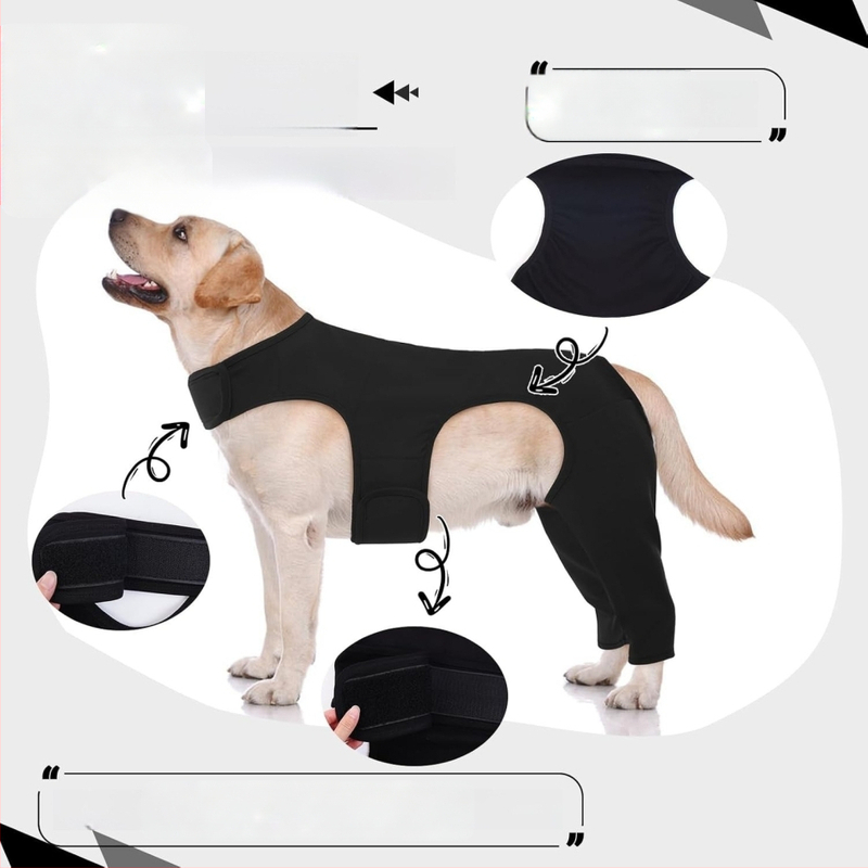 Piiriülene koera tagajalgade kaitsevarustus, operatsioonijärgne lakkumis- ja hammustamisvastane isolatsioonibakter, õues kasutatav putukahammustuste vastane lemmiklooma tagajalgade kaitsekate