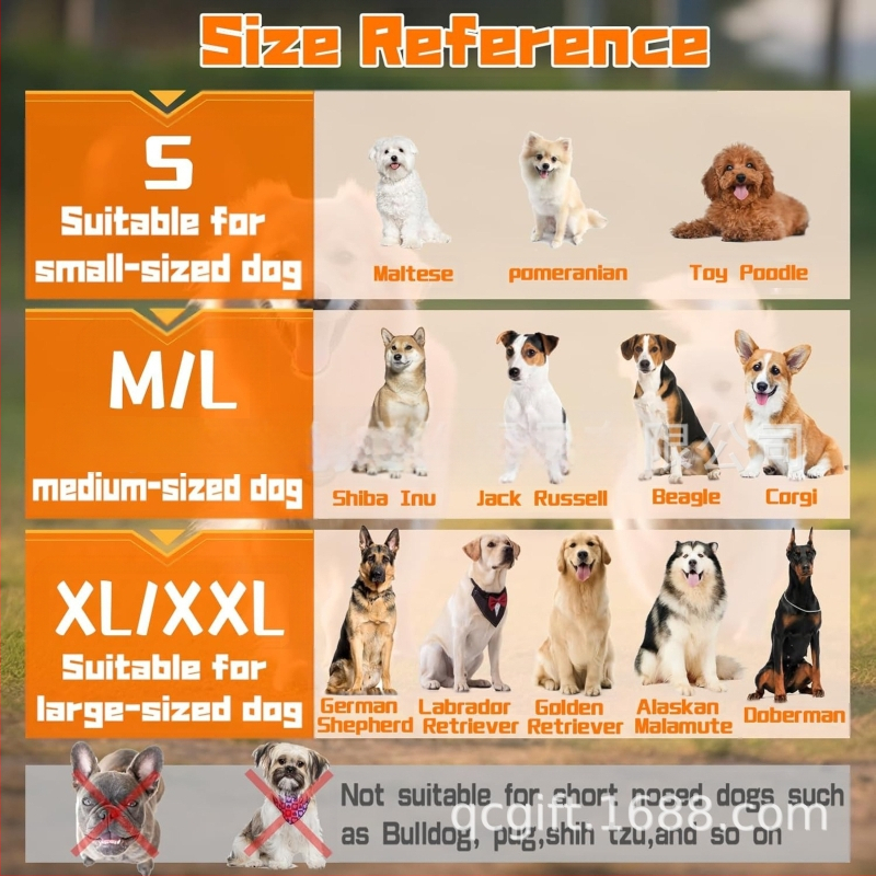 Šuns burnos uždangalas, apsaugantis nuo įkandimo, reguliuojamo dydžio, kvėpuojantis, didelis ir mažas šunų kaukė, augintinio burnos uždangalas, didmeninė prekyba, gražus