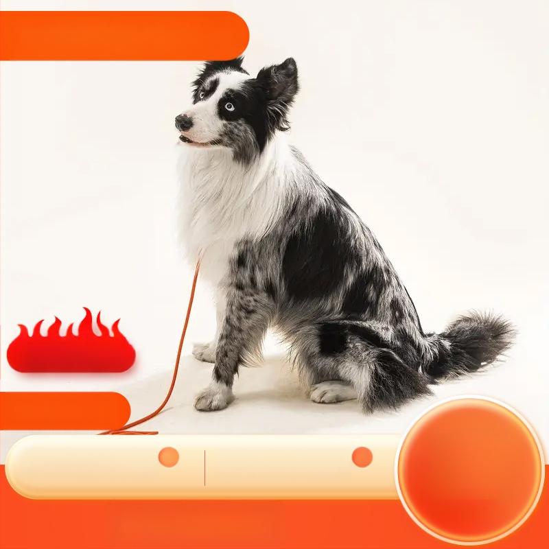 6 mm lemmikloomade treeningköis pikendatud taktikalise võistluskoera rihmaga plahvatuskindel kass väikestele koertele jalutamiseks mõeldud artefakt