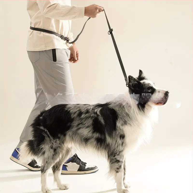 Multifunktsionaalne veojõuköis, reguleeritav vöökoht, koeraköis, PVC veekindel, hammustusvastane koerakaelarihm, koera veojõuköie tõmberihm