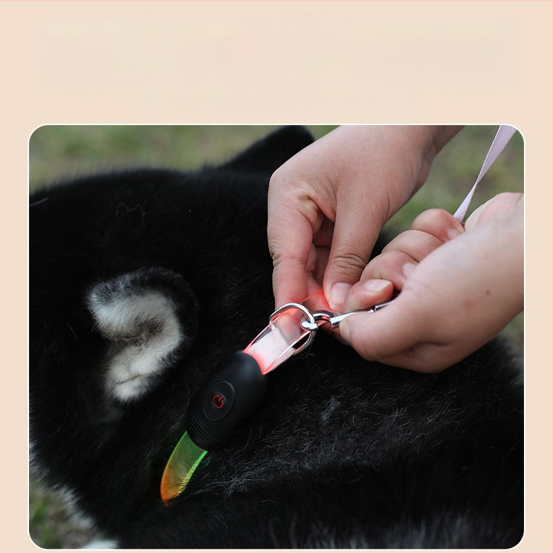 Gyártói előre gyártott, lapos, teljes testre kiterjedő, LED-es világító nyakörv, éjszakai elvesztésgátló figyelmeztető kutyanyakörv, amely villámgyors pórázzá vágható