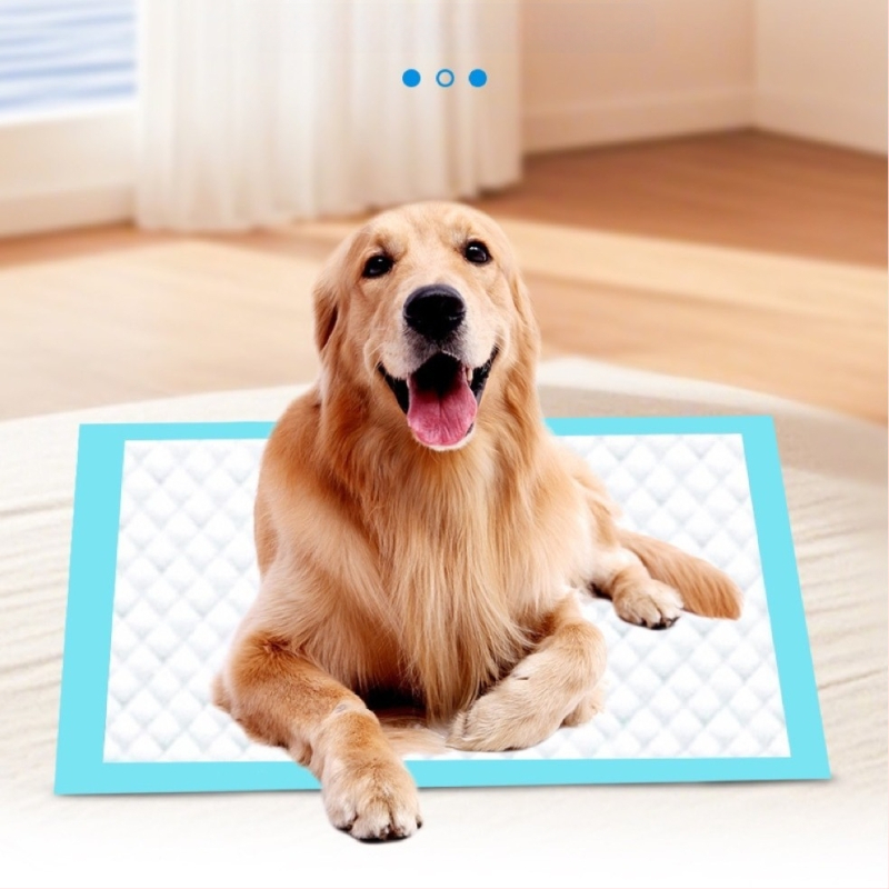 Lemmikloomade mähkmepadjad hulgimüügist paksendatud deodoreerivad koerte mähkmepadjad ühekordselt kasutatavad imavad padjad mähkmed koerte mähkmed