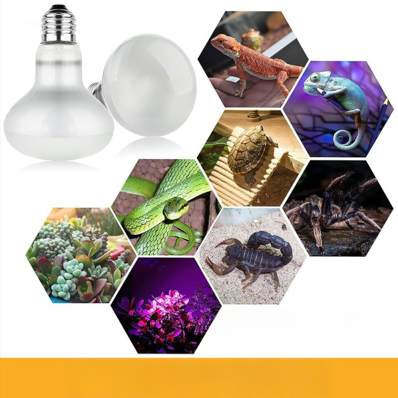 Roniv lemmikloom UVA soojenduslamp roomaja päevalamp sisalik lakklõvi kilpkonn päikesevalgus tagalamp papagoi rutiin kana soe isolatsioonilamp