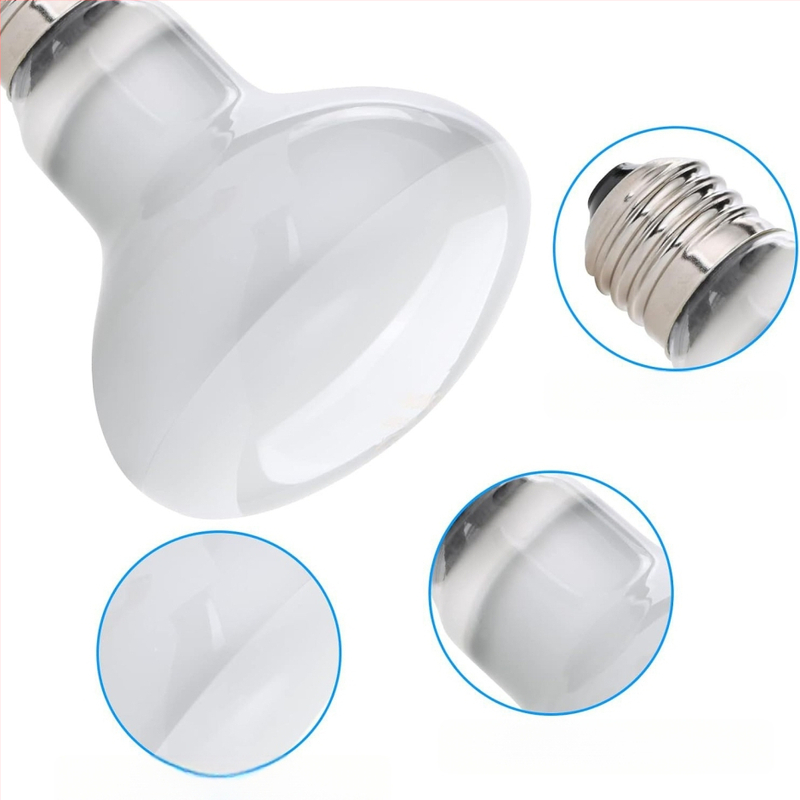 Roniv lemmikloom UVA soojenduslamp roomaja päevalamp sisalik lakklõvi kilpkonn päikesevalgus tagalamp papagoi rutiin kana soe isolatsioonilamp