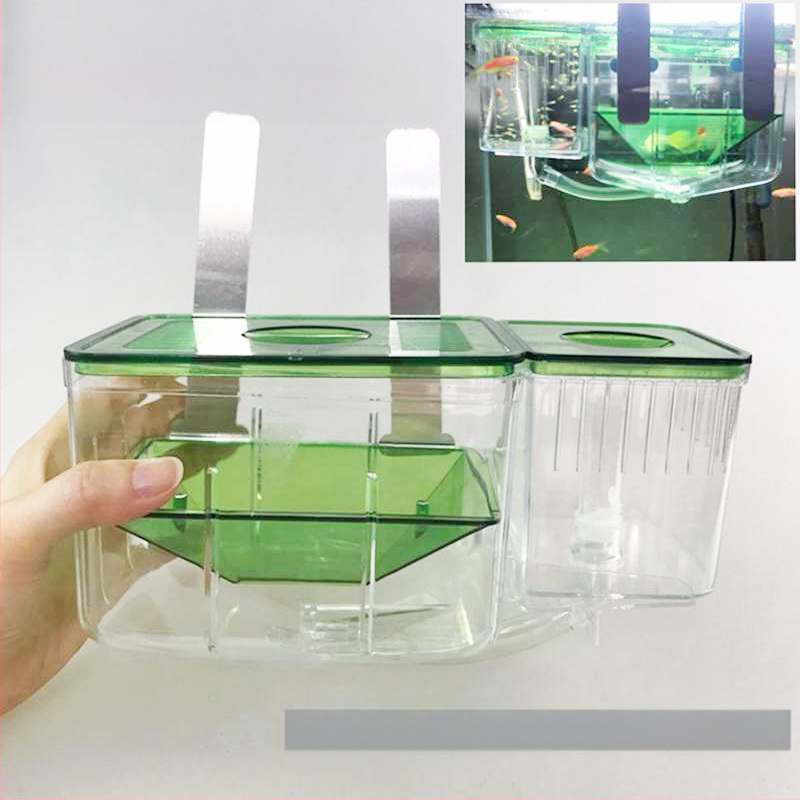 Žuvų pristatymo kambarys „Peacock Douyu“ žuvų daigų veisimo įrenginys, akvariumo vidinė izoliacija, tinklo apsauga, mažų žuvų izoliacijos dėžutė