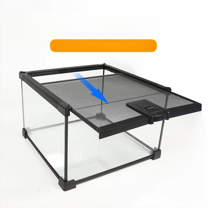 Roomajate vihmametsade paak, söötmiskast, ladu, hamster, roniv lemmikloom, kilpkonn, shougong, sisalik, sarvedega konn, ämblik, ökoloogiline paak