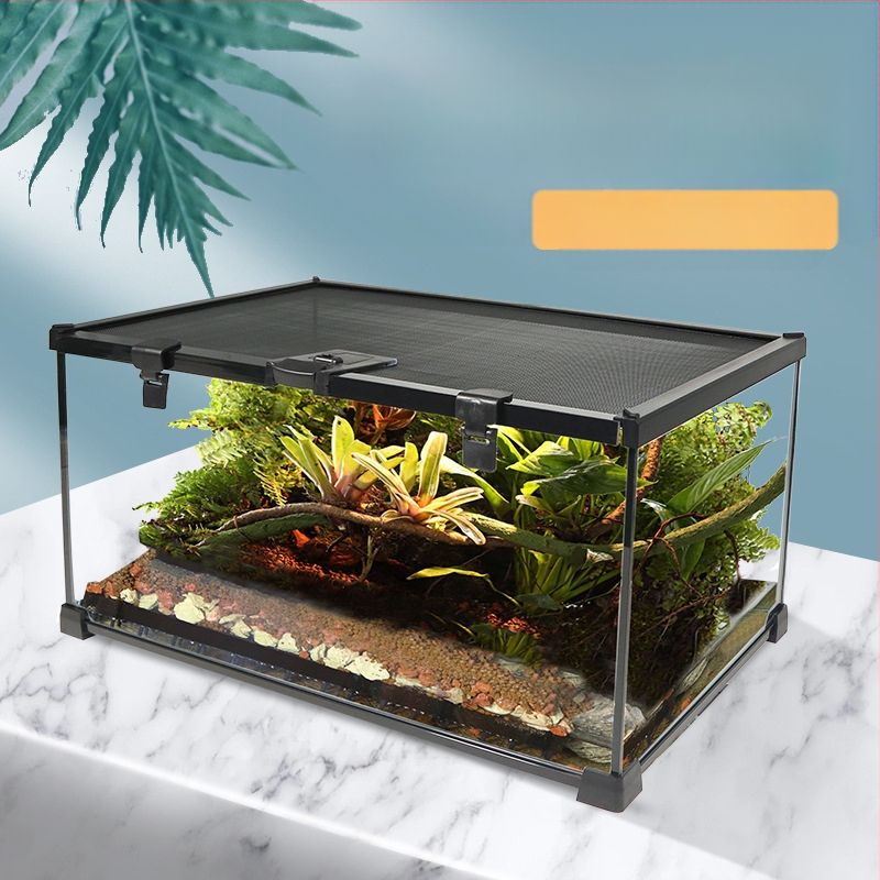 Roomajate vihmametsade paak, söötmiskast, ladu, hamster, roniv lemmikloom, kilpkonn, shougong, sisalik, sarvedega konn, ämblik, ökoloogiline paak