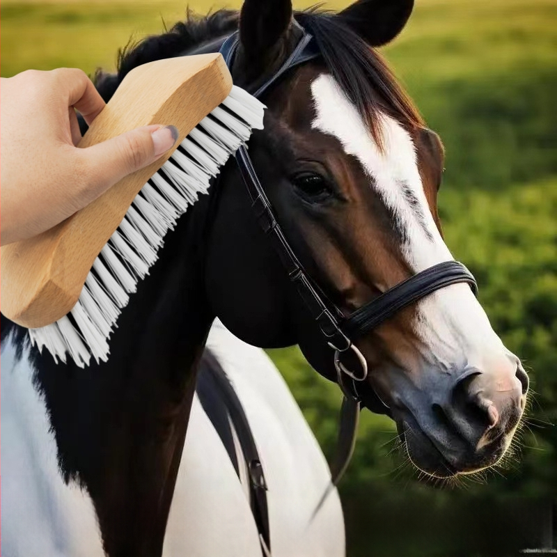 Hobusevarustuse puhastusvahendid Kõvera tüüpi rakmete kamm Puidust hobusehari Puhastushari ujuva karvaharja eemaldamiseks Rakmete tarvikud Karvaeemaldus