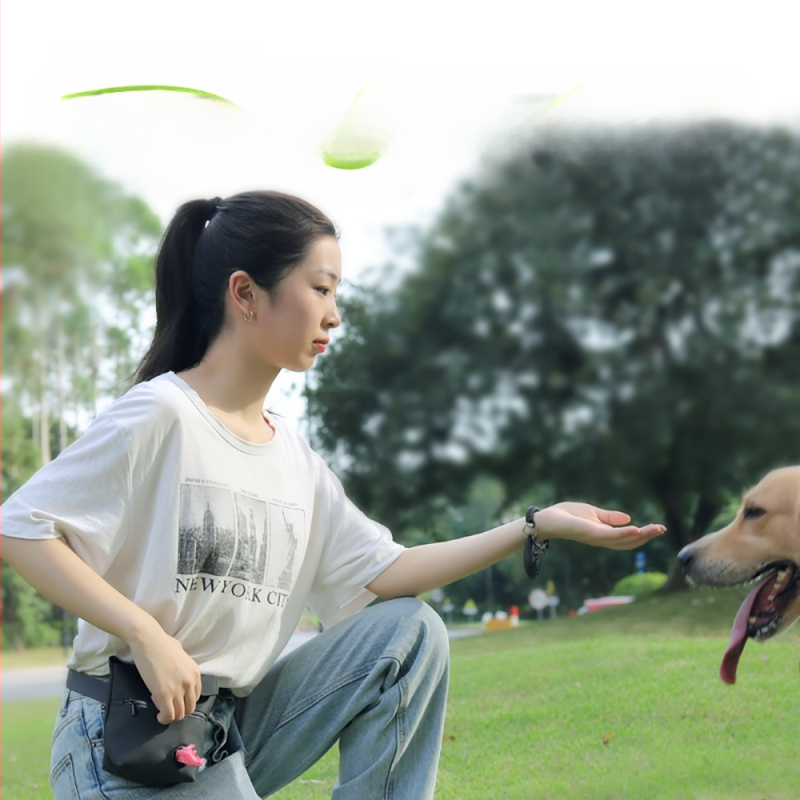 Kutyakiképző táska, hordozható kiképző táska kutyák sétáltatásához, átlós váll-derék fesztávolság, kisállat nassolnivalók, mágneses nyitás, kakizsák tárolótáska