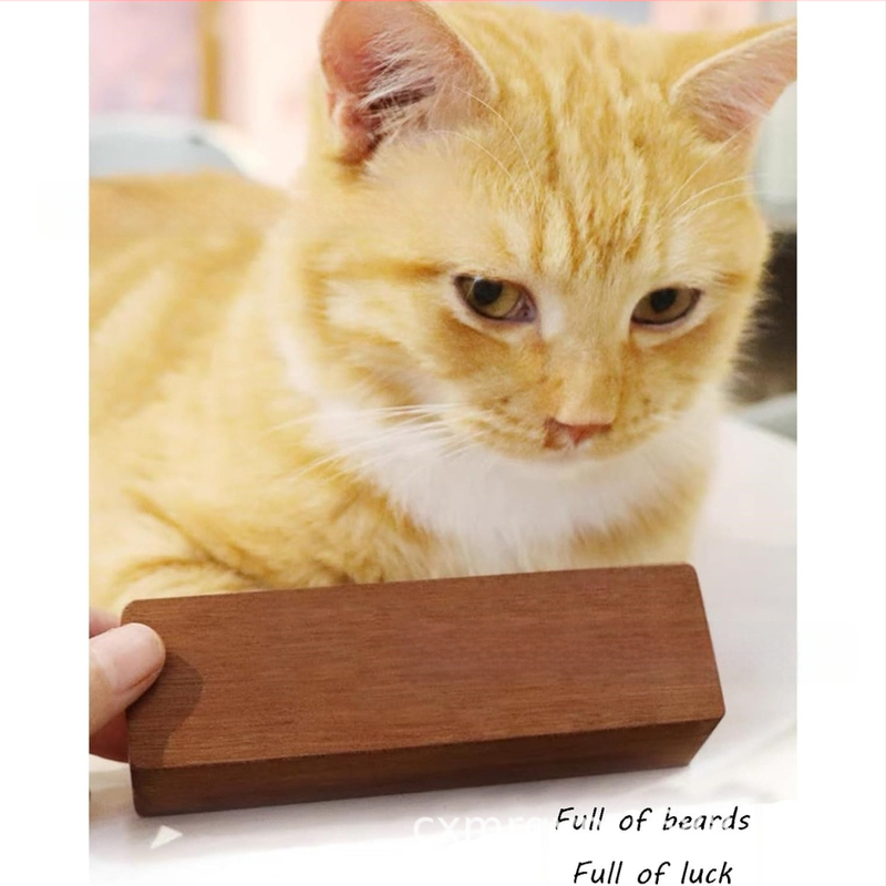 Kiisuhabemega lemmikloomakarvade pähklipuust hoiukarp, magnetilise kaanega beebikarvade kollektsiooni mälestuskarp