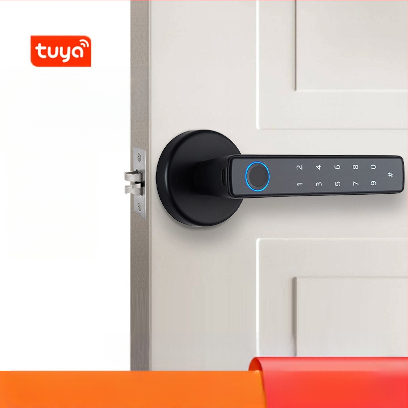 Tarpvalstybinė grafiti išmanioji rankenos spyna namams, vidaus durims, elektroninė slaptažodžio spyna, biuro apsaugos nuo vagystės pirštų atspaudų durų spyna