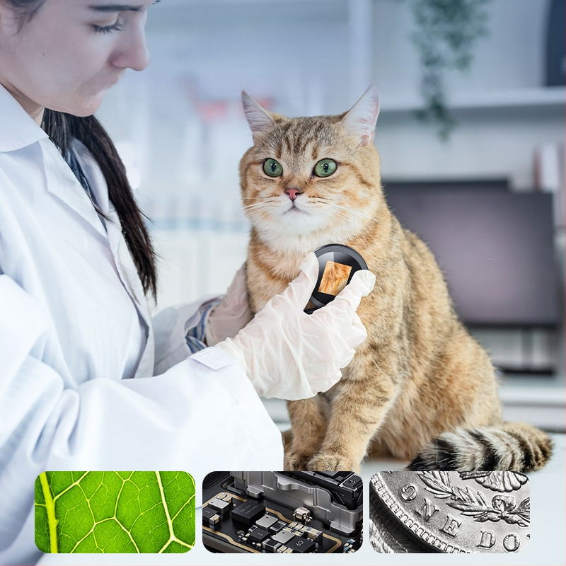 2025 m. naujo produkto nešiojamas kišeninis sulankstomas skaitmeninis mikroskopas, 500 kartų automatinio fokusavimo elektroninis didintuvas