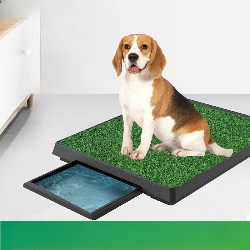 Koeratualett lemmikloomade murule, sobiv koeratualett suurele ja väikesele versioonile, simuleeritud murule, lemmikloomade mähkimisalus, piiriülene tehasevalmis laos