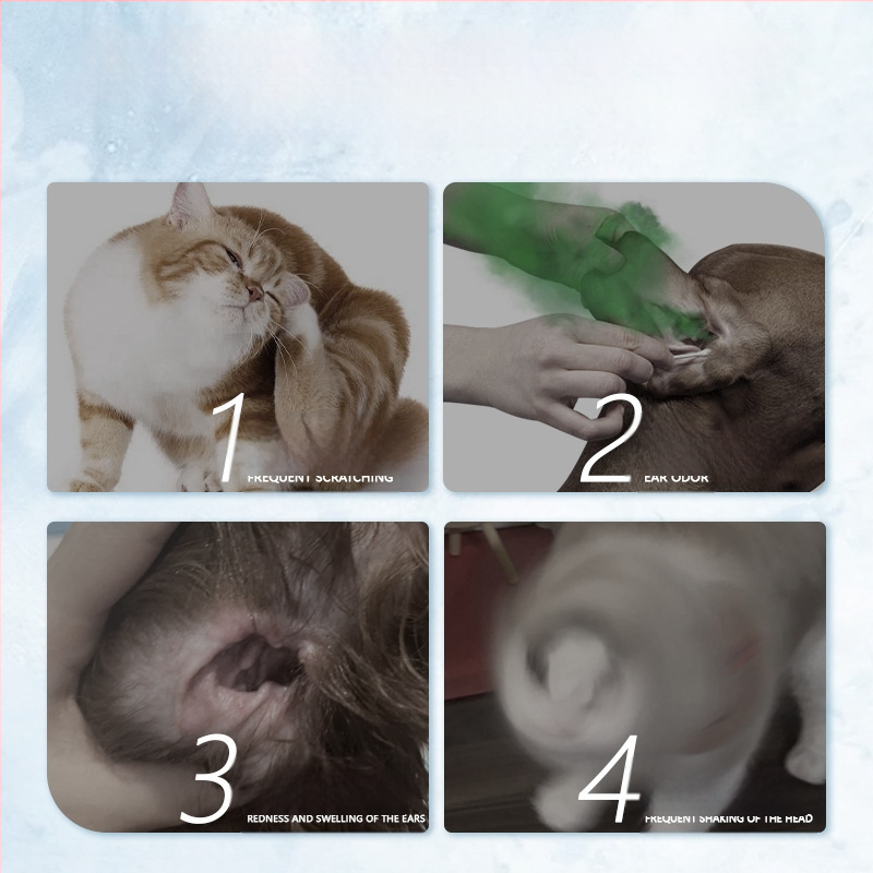 Ausų lašai augintiniams, skirti ausų erkėms ir ausų sierai šalinti katėms ir šunims, antibakterinis ausų valymo skystis, ausų valymo ir niežulį slopinantis ausų valymo skystis šunims