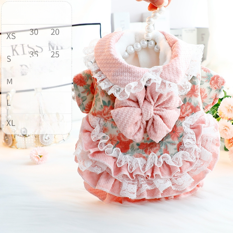 Őszi és téli kutyaruhák vastag macska hercegnő ruha vonóerő lolita aranyos kis kutya teddy kisállat 5885