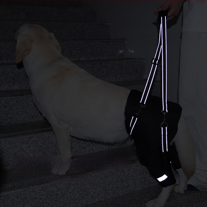 Piiriülene koera tagajala abivöö eakatele koertele, puuetega koerte rehabilitatsioon, tagajala tõsteköe hulgimüük