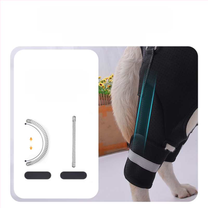 Piiriülene koera tagajala abivöö eakatele koertele, puuetega koerte rehabilitatsioon, tagajala tõsteköe hulgimüük