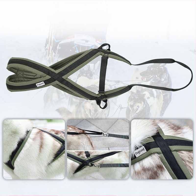 Lemmikloomade veojõuköis Hingav ja värskendav koera rinnarihm koerte jalutamiseks Kulumiskindel purunemiskindel koera kõndimisköis kaotamisvastane
