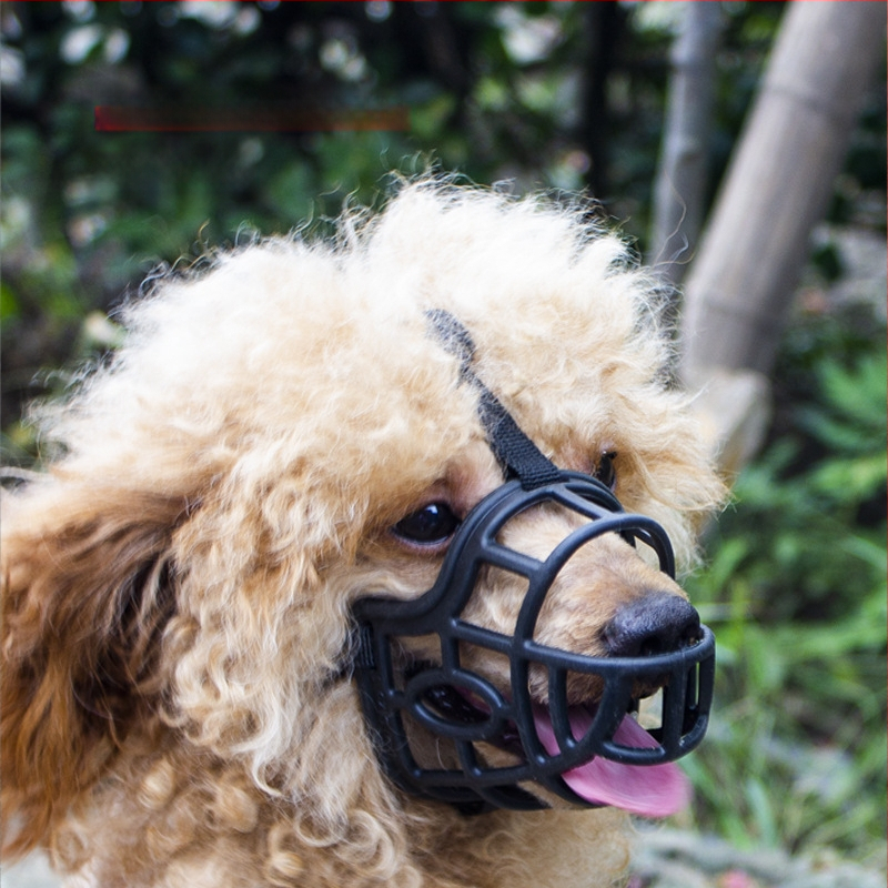 Šuns burnos uždangalas nuo įkandimo, šuns burnos uždangalas, didelis šuo, trumpa burna, augintinio kaukė, mažas meškiukas, apsaugantis nuo lojimo, gali gerti vandenį, kad būtų išvengta nevalgymo