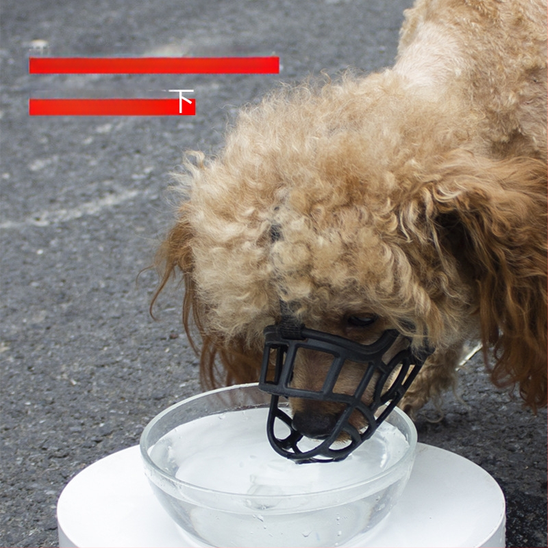 Šuns burnos uždangalas nuo įkandimo, šuns burnos uždangalas, didelis šuo, trumpa burna, augintinio kaukė, mažas meškiukas, apsaugantis nuo lojimo, gali gerti vandenį, kad būtų išvengta nevalgymo