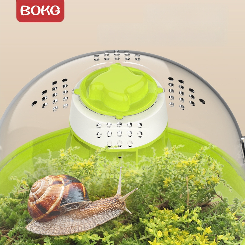 BOKG Sraigių gyvūnų gyvenamoji vieta pradinės mokyklos mokiniams Stebėjimo eksperimentas Mokslo rinkinys Veisimo dėžė Kosminė kapsulė