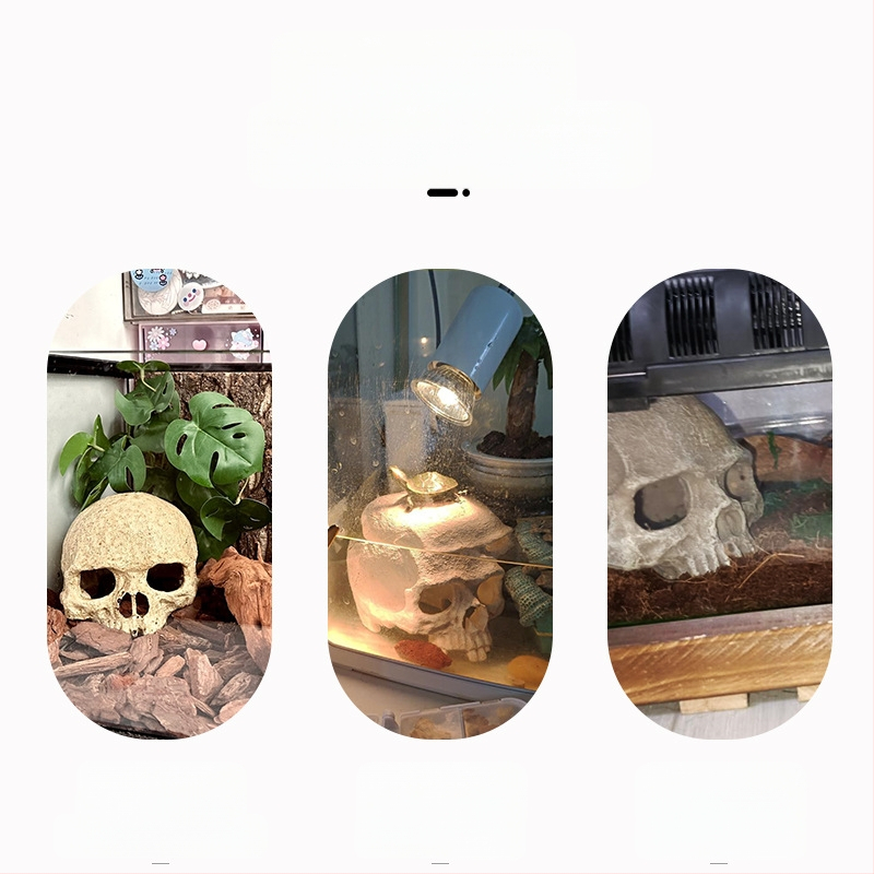 Akvárium akvárium tereprendezés díszek skorpió palota őr pók gyík kígyó piton koponya csont tenyésztés ház menekülés