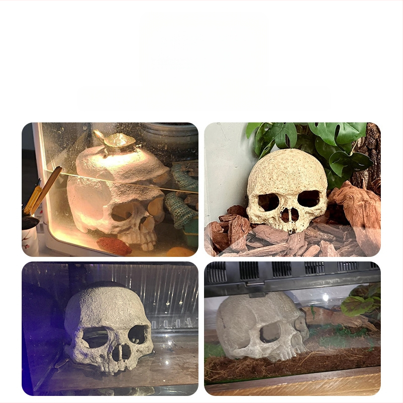 Akvárium akvárium tereprendezés díszek skorpió palota őr pók gyík kígyó piton koponya csont tenyésztés ház menekülés