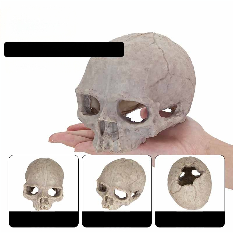 Akvárium akvárium tereprendezés díszek skorpió palota őr pók gyík kígyó piton koponya csont tenyésztés ház menekülés