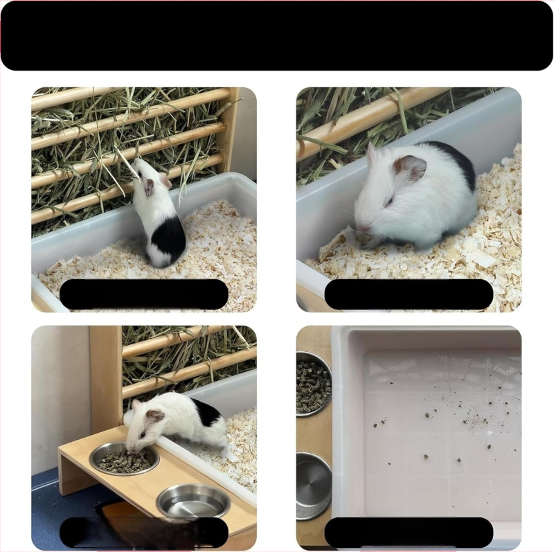 Küüliku- ja vutipuur, dekoratiivne puurisöötja, pesitsuskast, tibude kodu, krüptitud vutipesa, hamstripesa komplekt